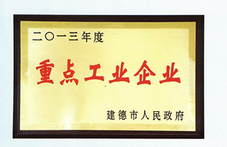 2013年度重點工業(yè)企業(yè)